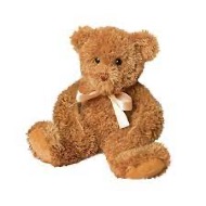 Stuffed Animal