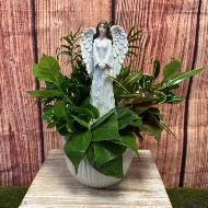 Angel Dish Garden