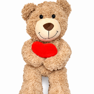 Teddy Bear Red Heart Plush