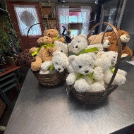 Teddy Bears
