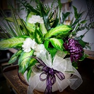 10" Disgarden