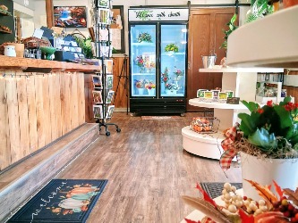 Everyday flowers, cards, plants, chocolates,plushies