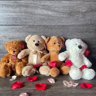 Stuffed Animal