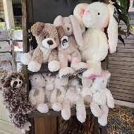 Stuffed Animal