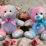 Colorful and Happy 8" Bear