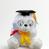 Proud Graduate Bear 10"