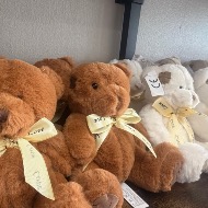 Medium plushy teddy bear
