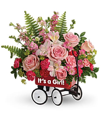 Teleflora's Beautiful Girl Wagon Bouquet Fresh Arrangement in a Teleflora Keepsake