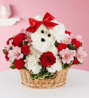  Love Pup™ Dog Basket