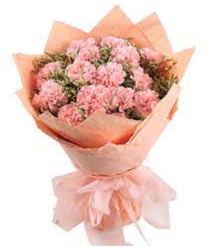 1 Dozen Carnations Cut Bouquet