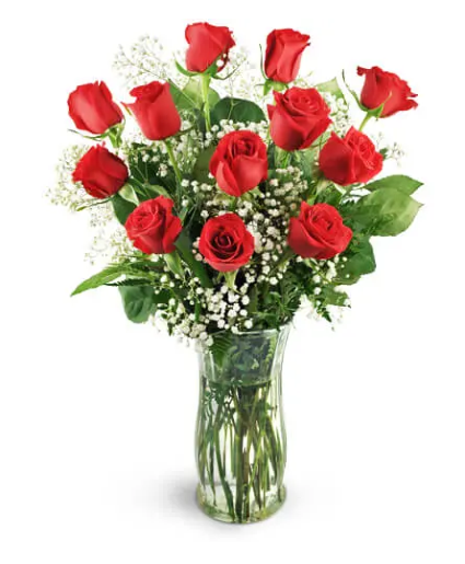 1 Dozen Classic Red Roses  Roses 