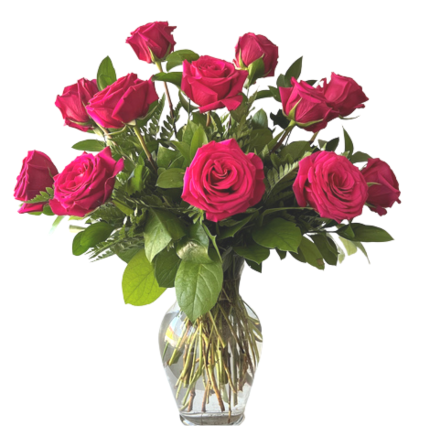1 Dozen Pink Roses 
