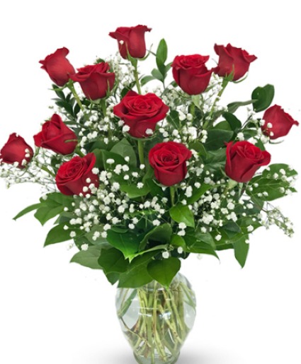 DOZEN LONG STEM PREMIUM RED ROSES 