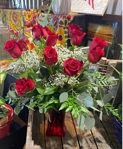 1 Dozen Red Roses  1 Dozen Red Roses