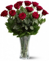 1 Dozen Red Roses 