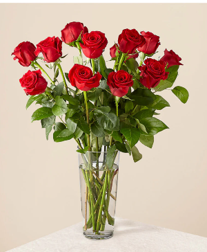 1 dozen roses  Holiday arrangement