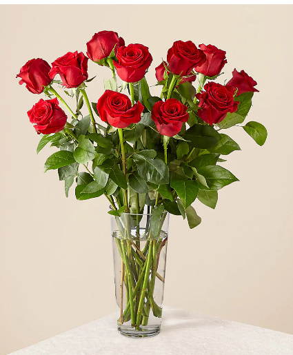 1 dozen roses  Holiday arrangement