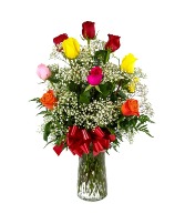 1 Dozen Roses Mixed 