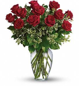 One Dozen Red Long Stem  Rose Bouquet