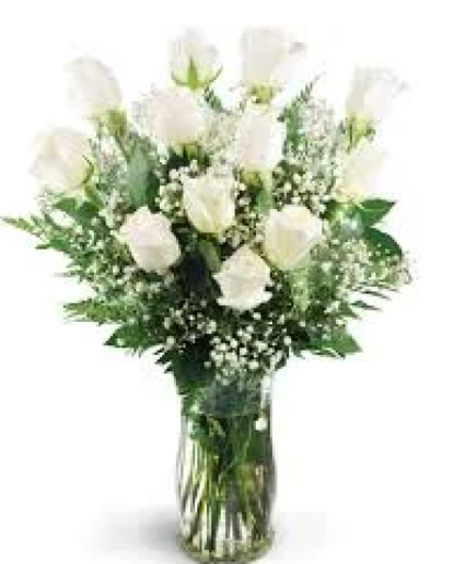 1 DOZEN WHITE ROSES VASED