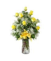 1 dozen yellow roses roses