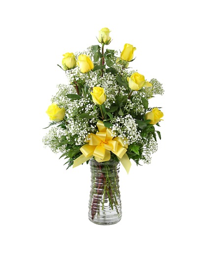 1 dozen yellow roses roses