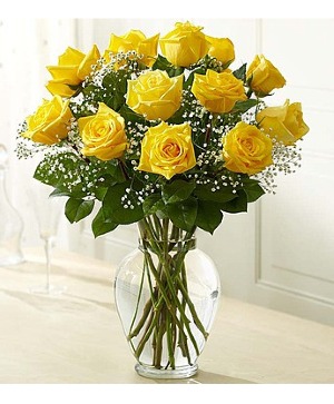 Yellow Roses Roses