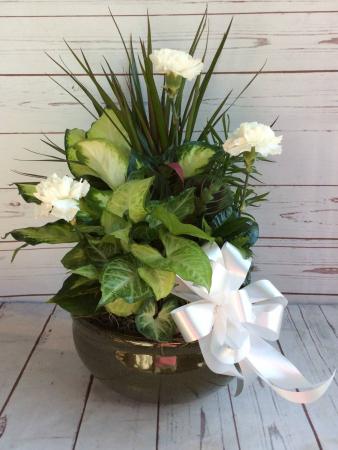 10" Ceramic Dish Garden  With Bow & Flowers