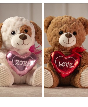 10 inch Paws or Hugs  Teddy