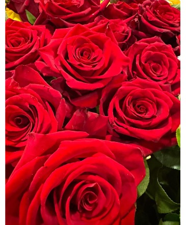 50 HANDTIED LONG STEMS ROSES  Wrapped Bouquet  in Bloomfield, CT | Kayla's Cut Flowers