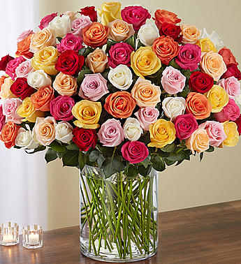 100 Premium Long Stem Multicolored Roses 