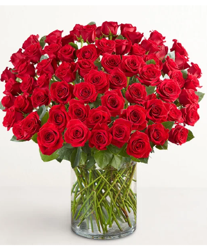 100 Premium Long Stem Red Roses 
