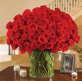 100 Premium Red Roses (Only available online) 