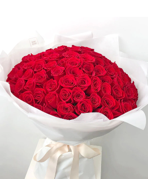 100 Premium Red Roses Wrapped 