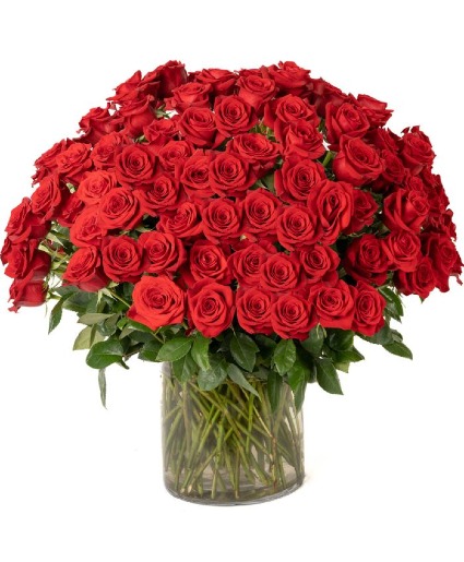 100 Red Roses Flower