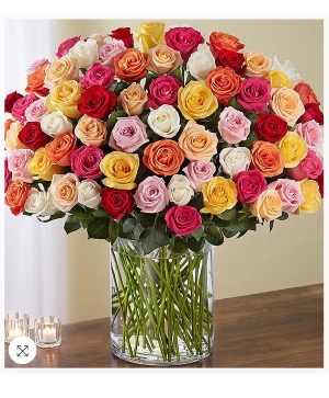 100 Roses!  