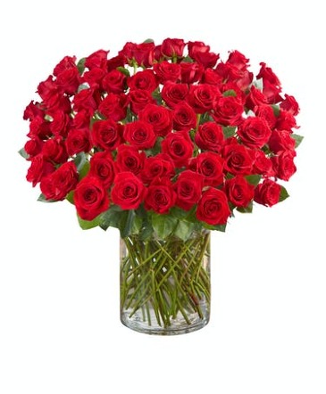 100 Spectacular Roses Vase Arrangement in Saint Petersburg, FL | Hamiltons Florist