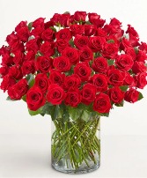 Century of Love Roses