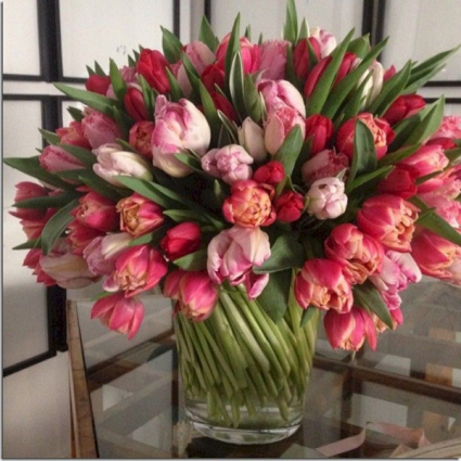 100 Tulips 