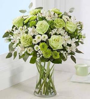 Serene Green - 00230 