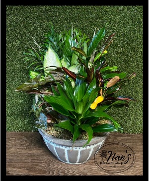 10" Ceramic Dish Garden 