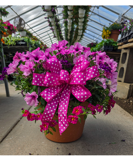 12" Colorful Annual Combo Planter Planter