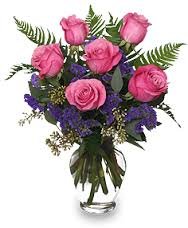 1/2 Doz Roses  Customize Colors