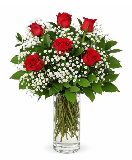 1/2 doz roses traditional  