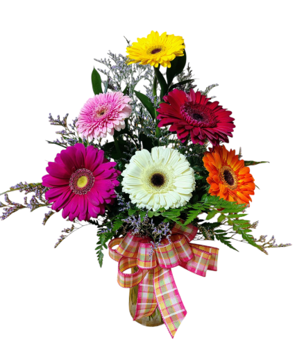 1/2 Dozen Gerber Daisies 