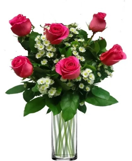1/2 Dozen Hot Pink Roses  