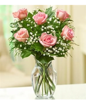 1/2 Dozen Pink Roses Roses