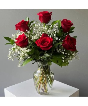 1/2 Dozen Roses Rose Arrangement
