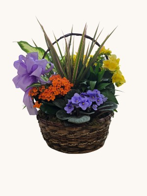 12 inch Flowering Dish Garden SOLD OUT