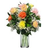 12 Mixed Carnations - colours vary - 907 Vase arrangement 
